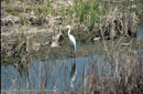 Arcadia Trail Park