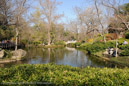 Fort Worth Botanical Gardens